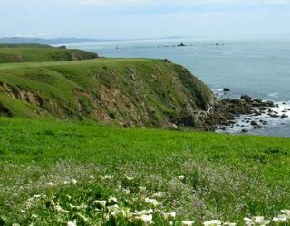 State Attorneys General Challenge Trump Administration’s Revamp of the National Environmental Policy Act