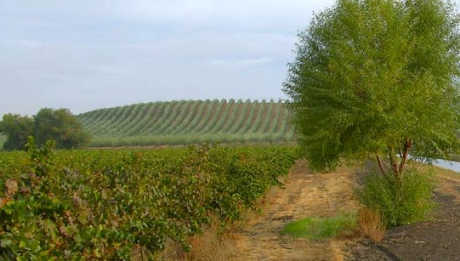 District Court Holds CAFO Citizen Suit Fails to Establish ‘Imminent and Ongoing Threat’ Under RCRA and the Clean Water Act District Court Holds CAFO Citizen Suit Fails to Establish ‘Imminent and Ongoing Threat’ Under RCRA and the Clean Water Act