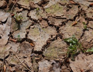 California State Water Resources Control Board Proposes Emergency Regulations for Russian River Watershed