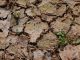 California State Water Resources Control Board Proposes Emergency Regulations for Russian River Watershed