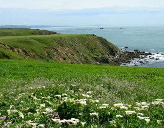 California Court of Appeal Affirms Coastal Commission’s Coastal Bluff Setback Requirement Considering Factors of Safety and Life of the Project