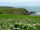 California Court of Appeal Affirms Coastal Commission’s Coastal Bluff Setback Requirement Considering Factors of Safety and Life of the Project