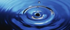 California Legislature Introduces Bills Impacting Elevated Status of Pre-1914 and Riparian Water Rights
