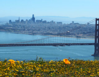 California Court Affirms Injunction Against City’s Short Term Vacation Rental Ban Because City Lacked Coastal Development Permit
