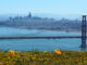 California Court Affirms Injunction Against City’s Short Term Vacation Rental Ban Because City Lacked Coastal Development Permit