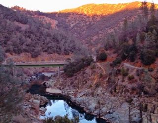D.C. Circuit Addresses Petition Challenging FERC Decision on Hydropower License and Related Endangered Species Act Claims
